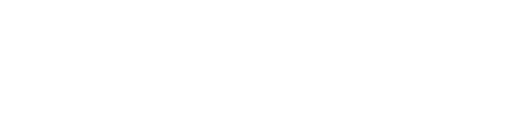 Transporte Piloni S.A.